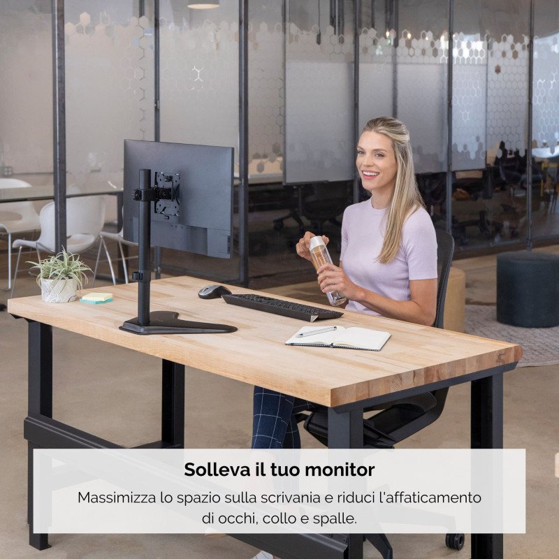Bras support-écran simple Seasa Fellowes