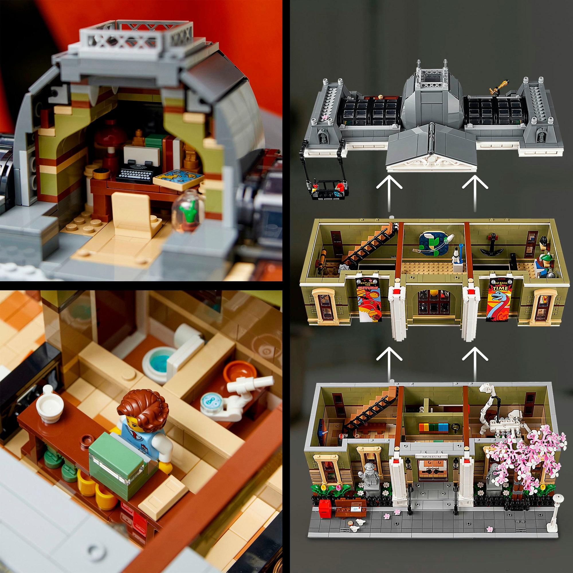LEGO Konstruktionsspielzeug Icons Naturhistorisches Museum