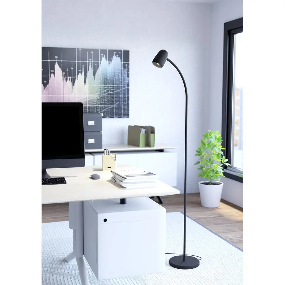 EGLO Carlo Vloerlamp - E14 - 170 cm - Zwart - Kantelbaar