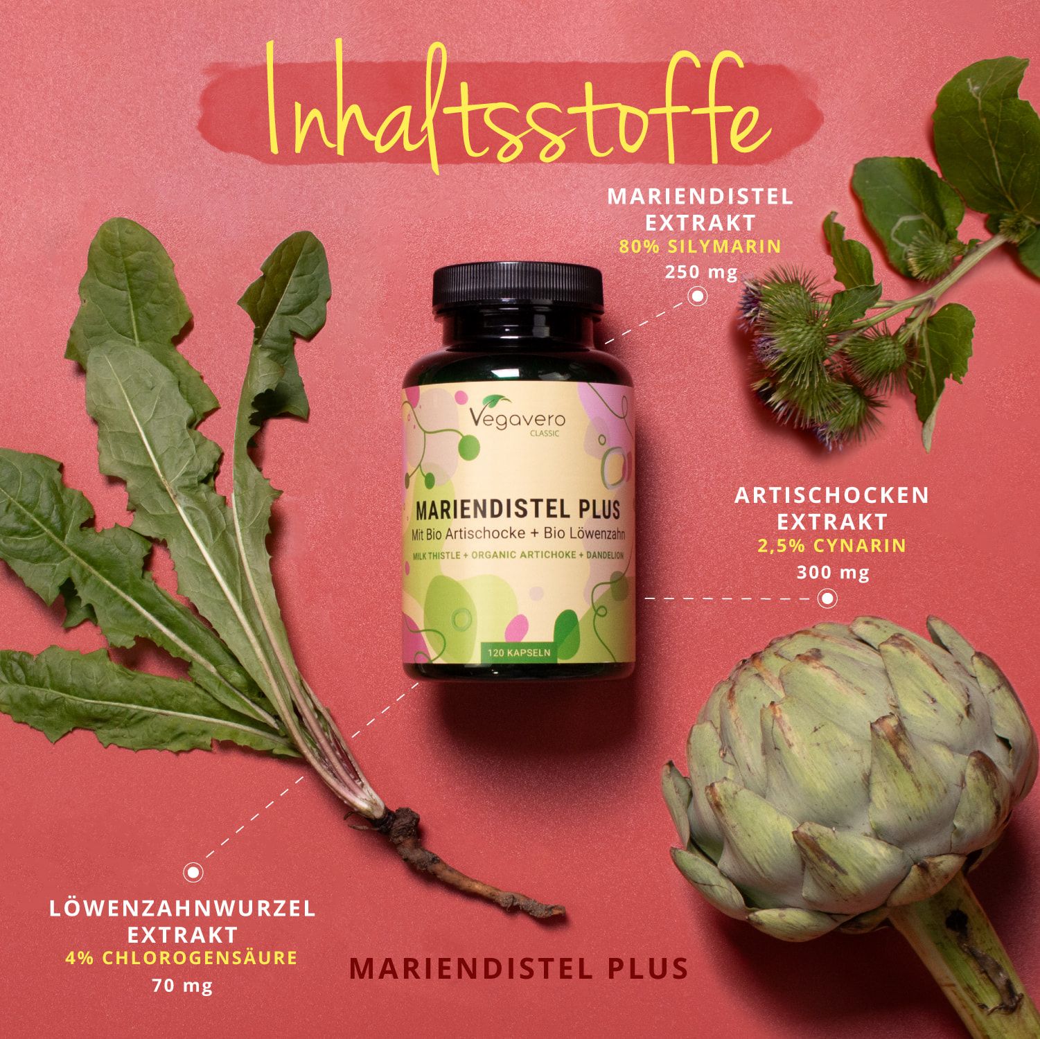 VEGAVERO Mariendistel Plus