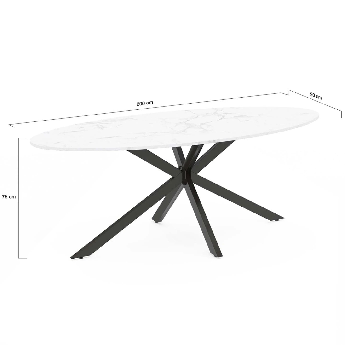 Table à manger ovale ALIX 10 personnes pied araignée noir et plateau effet marbre blanc ALASKA 200 cm