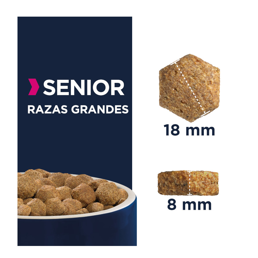 Ração Eukanuba Senior Large Chicken para Cães