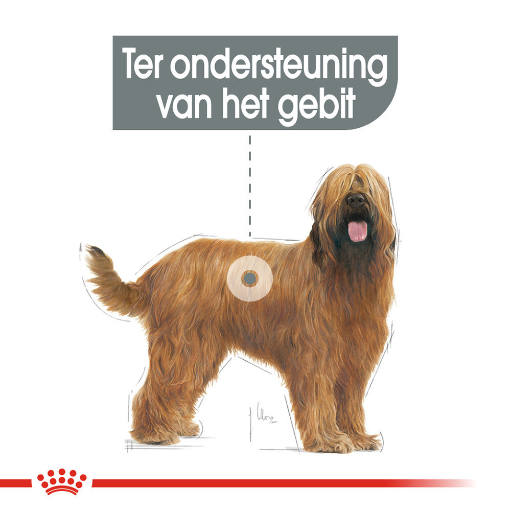 Royal Canin Maxi Dental Care - Hondenvoer