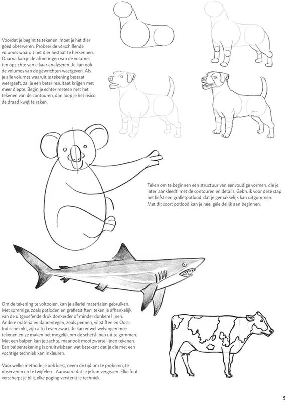 Stap Voor Stap Dieren Leren Tekenen - Tekenboek - Diverse Technieken