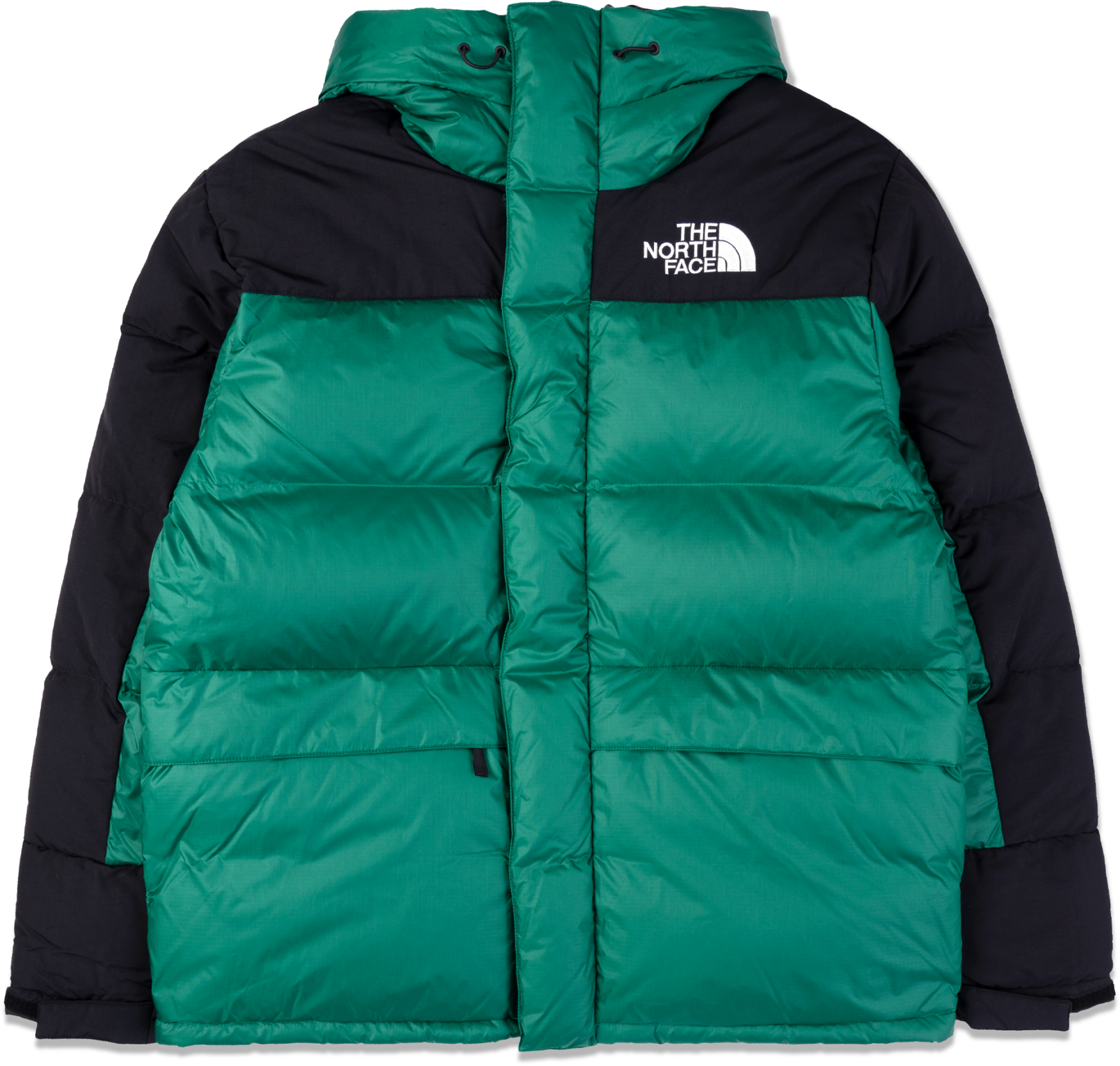 The North Face HMLYN DOWN PARKA Jacke Grün FNL1