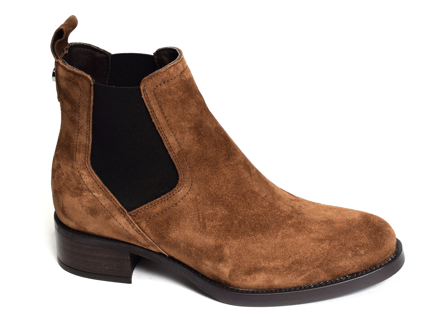 Alain2 2637 camel