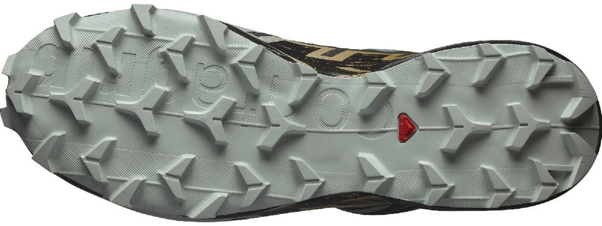 Salomon<br>Speedcross 6 GTX