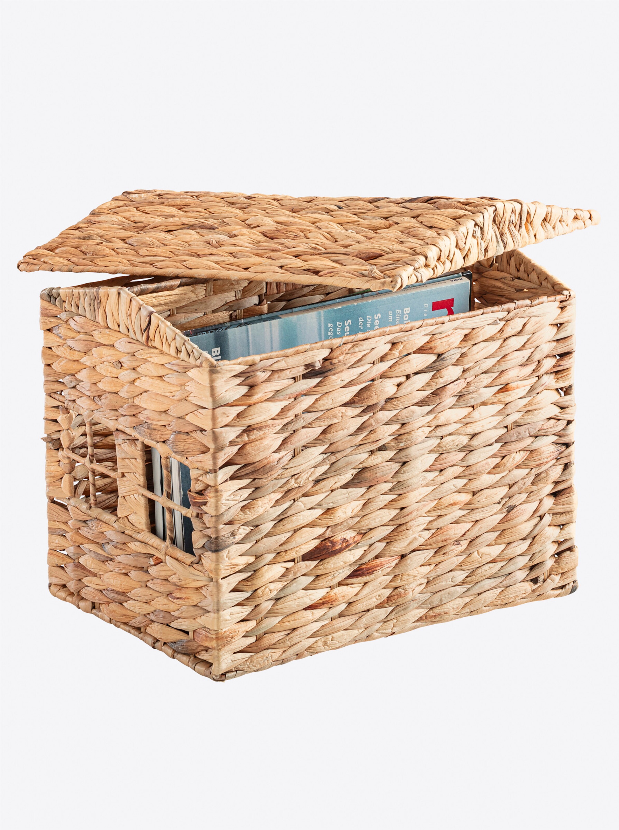 heine home Zeitungssammler in natur