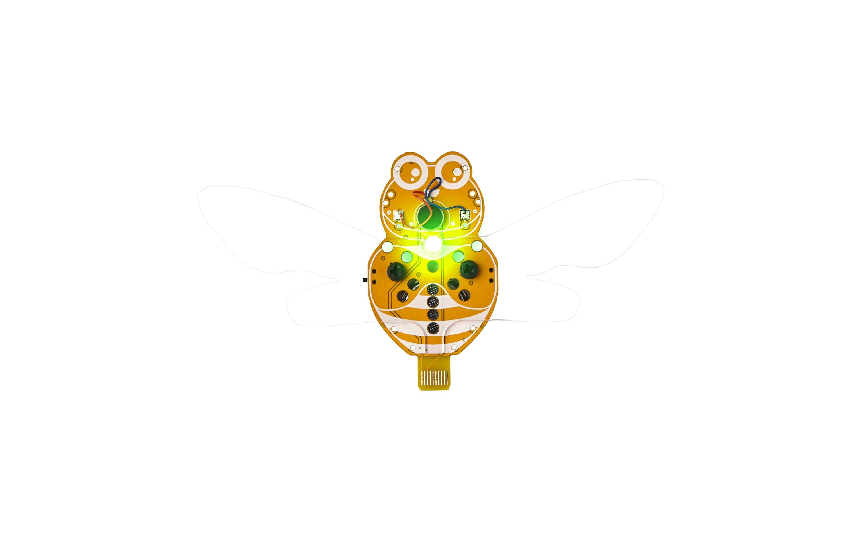 Wacky Robots – Mr. Bee -EN-DIY-Miniroboter