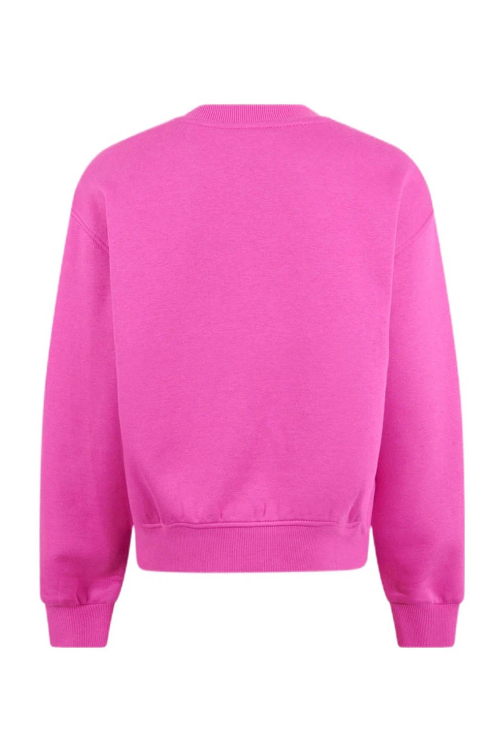 Shoeby sweater met artwork roze/blauw