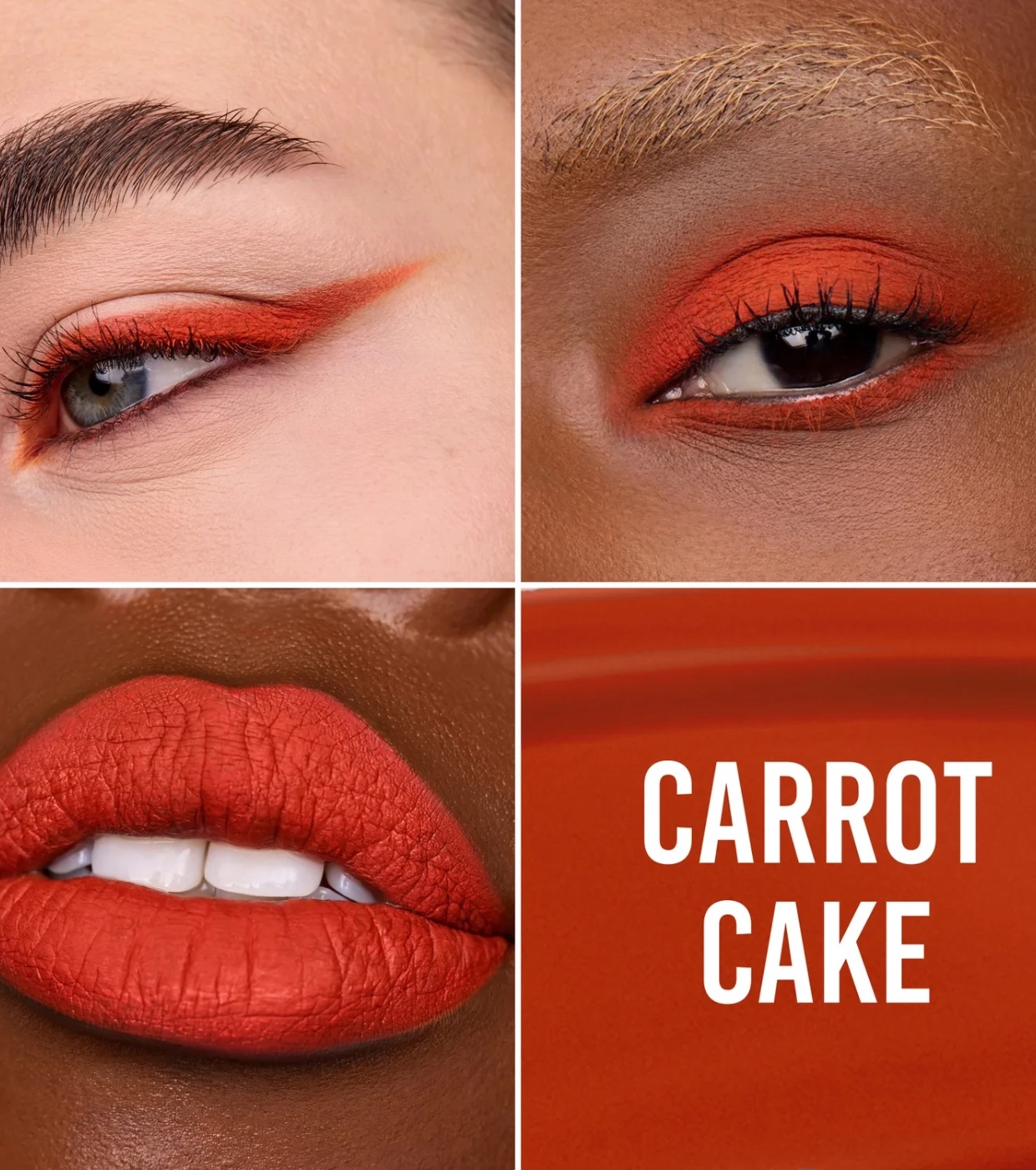 Danessa Myricks Beauty - Colorfix Mattes - Carrot Cake