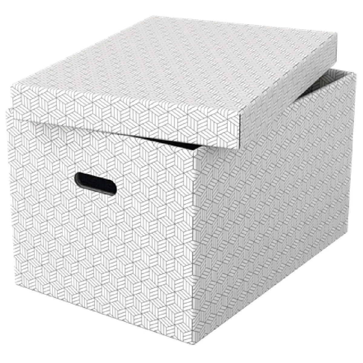 Esselte Pack de 3 Boîtes de Rangement - Blanc