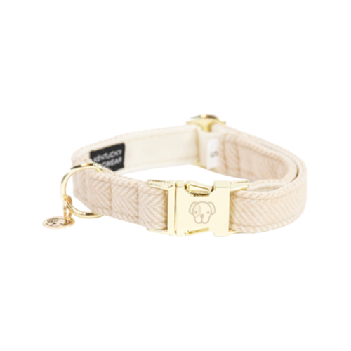 Kentucky Dogwear Hondenhalsband Wool