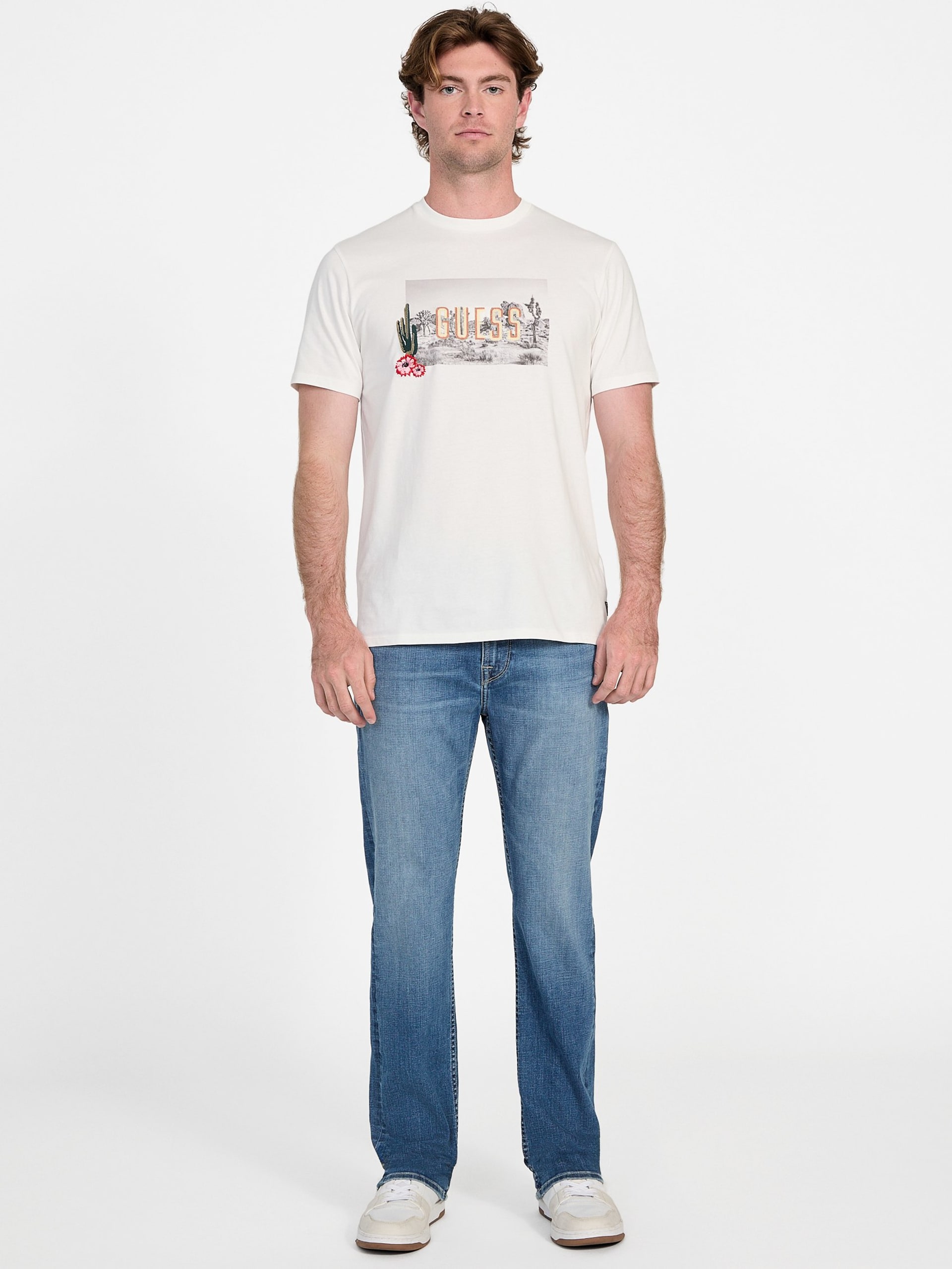 Camiseta bordada com estampa de jardim de cactos ecológicos