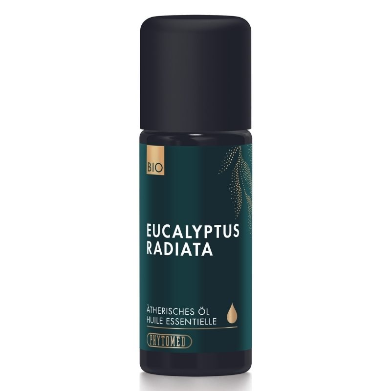 PHYTOMED Eucalyptus radiata<br>10 ml, Ätherisches Öl, Bio