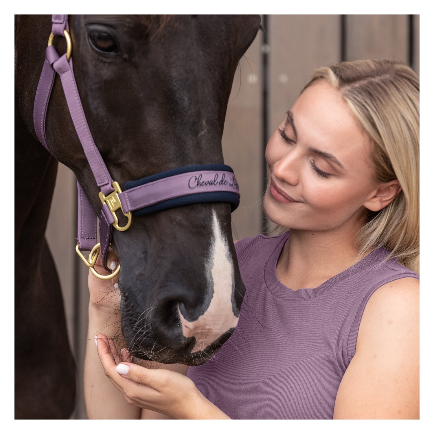Cheval de Luxe T-Shirt Lille  - mauve - XXL