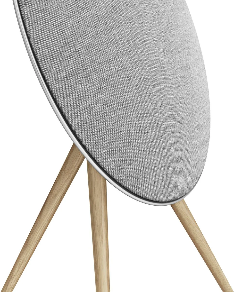 Bang & Olufsen Beosound A9 5th Gen Gris Enceintes connectées