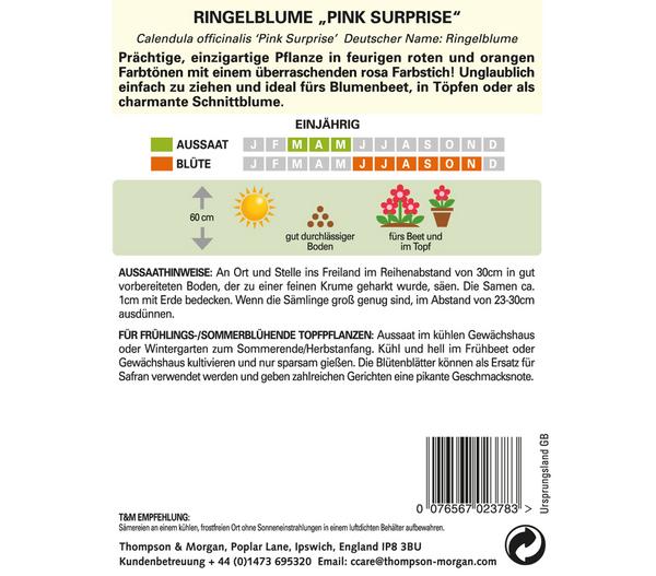 Thompson & Morgan Samen Calendula 'Pink