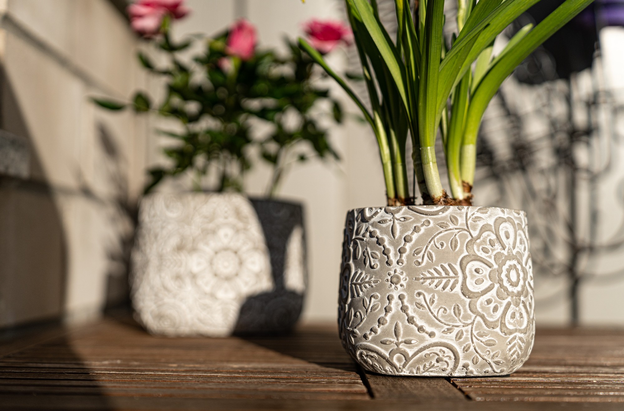 Zementtopf 'Pouvoir de fleurs' S, grau, whitewash, Ø 12 cm, H 10 cm günstig bestellen