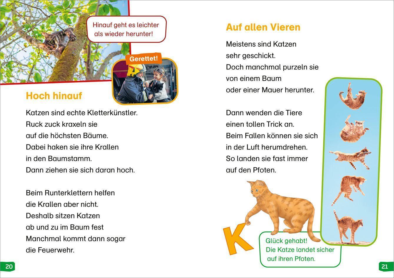 WAS IST WAS Erstes Lesen easy! / WAS IST WAS Erstes Lesen easy! Band 10. Katzen - meine Lieblingstiere