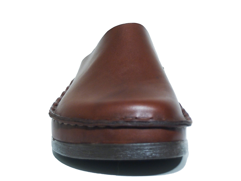 Rembrandt 0466 Bruin