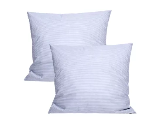 Lot De 2 Oreillers Plumes 60 X 60 Cm 