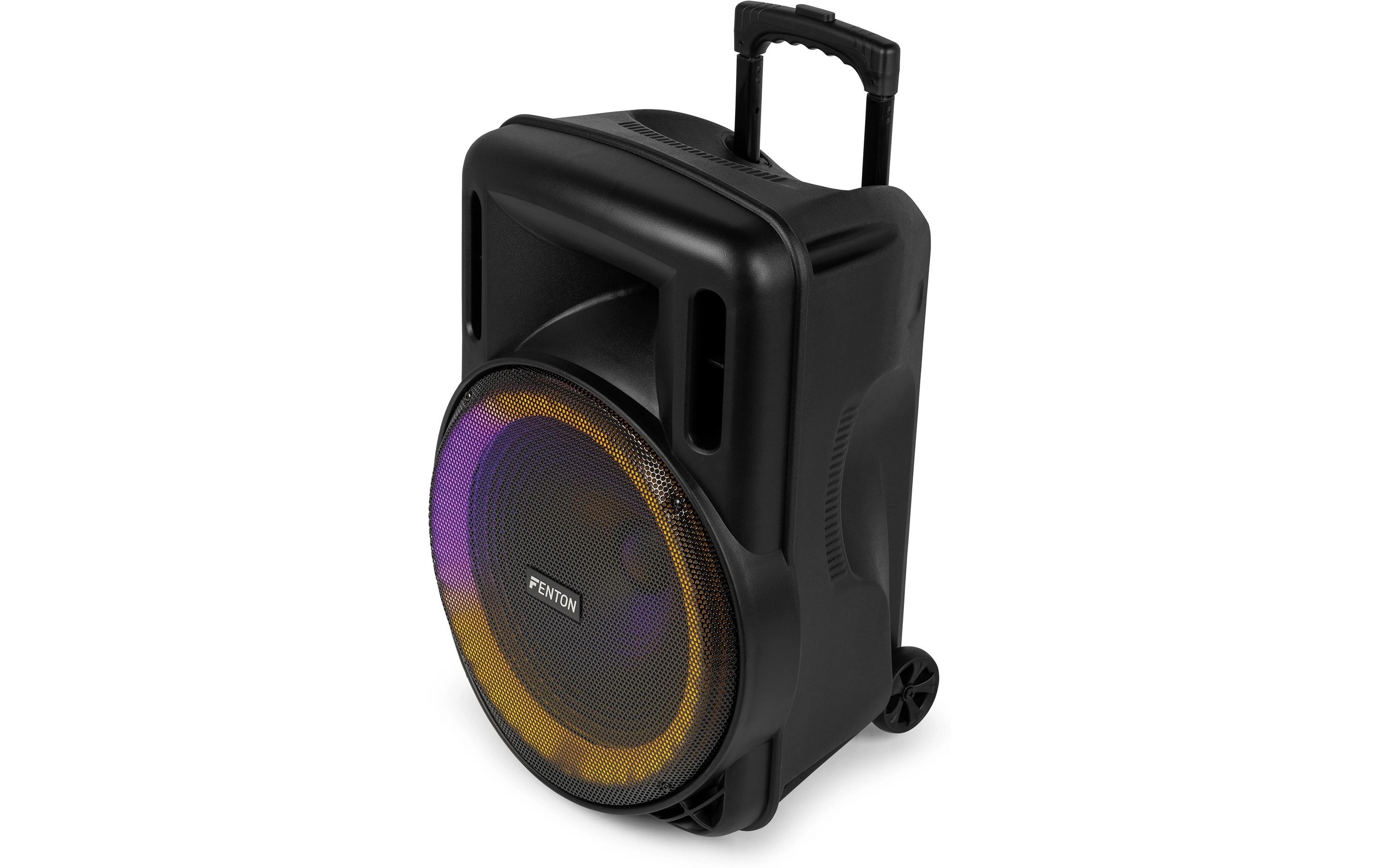 Lautsprecher FT15 lED MK2<br>Tragbarer PA-Lautsprecher mit LED