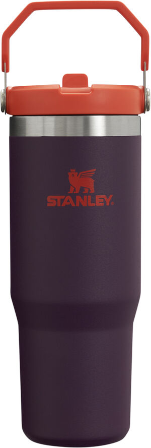 Stanley IceFlow Flip Straw Tumbler 0. 89L