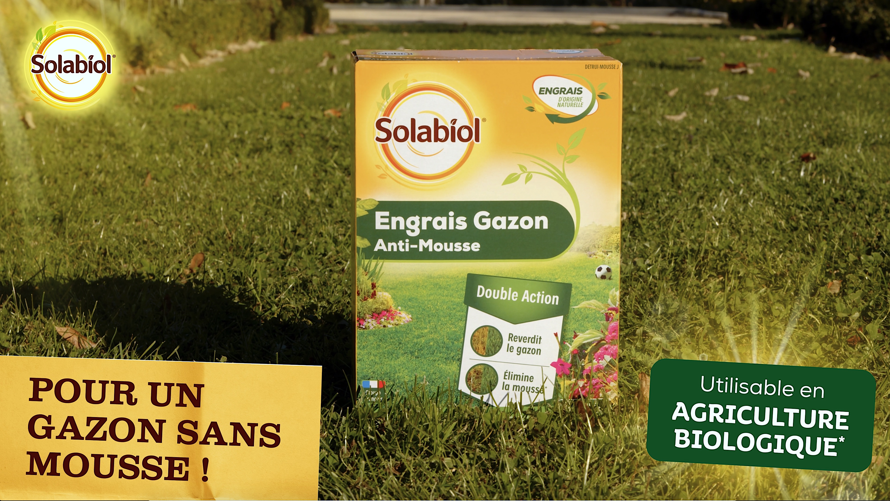 Sogazmou80n |engrais gazon anti mousse | 3,2kg | elimine la mousse & f