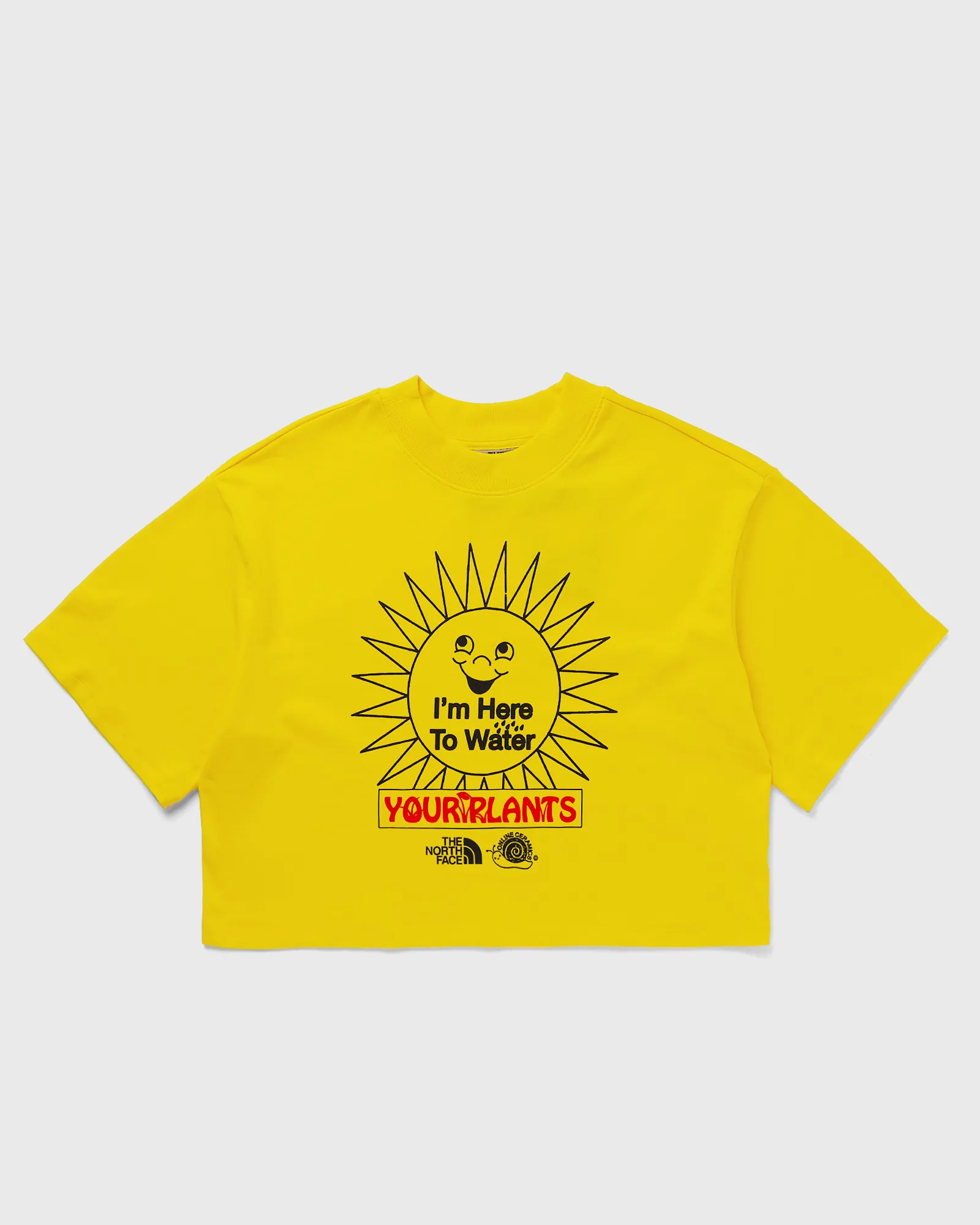 The North Face TNF X ONLINE CERAMICS W CROPPED S/S TEE