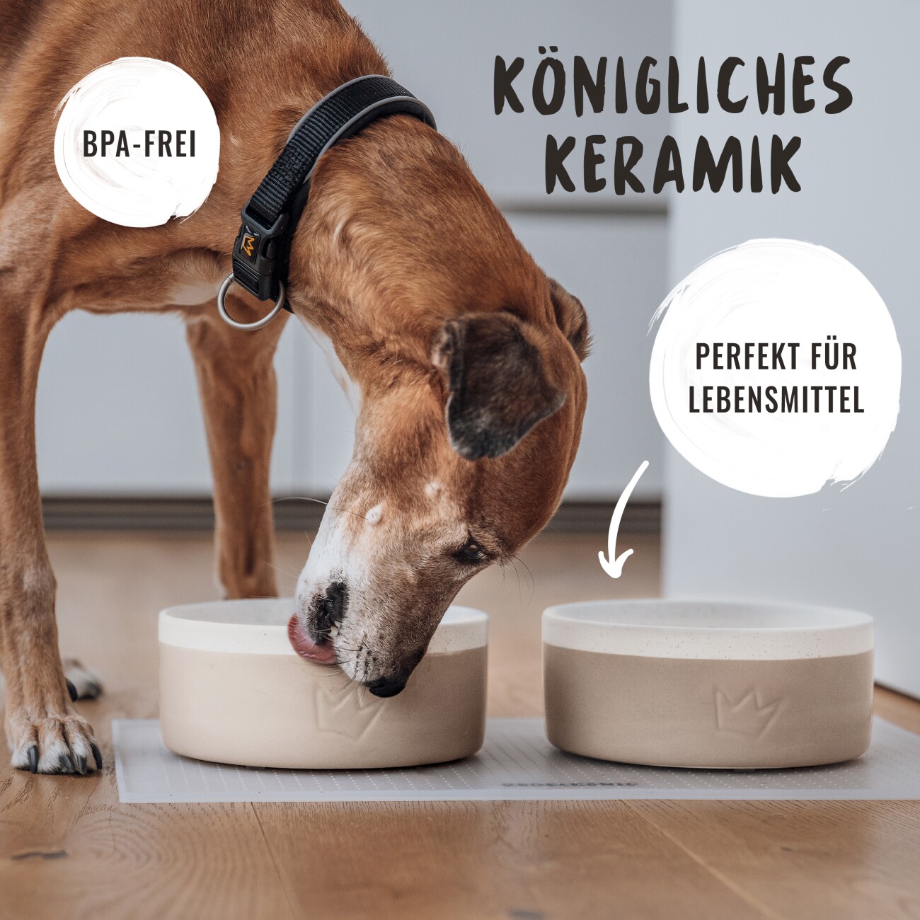 Rudelkönig Keramiknapf 900ml - Rutschfester Hundenapf 0,002 cm³