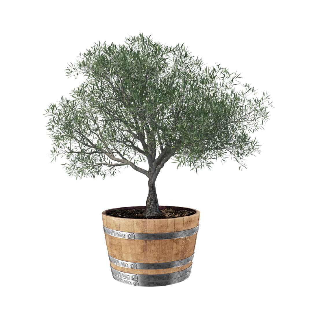 WeberGarden Blumentopf aus Eichenweinfass, Ø68cm Höhe 45cm