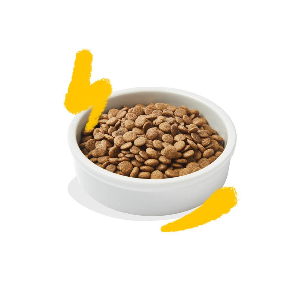 Edgard & Cooper Brokjes - Kattenvoer - 2000 Gram - kip, kalkoen
