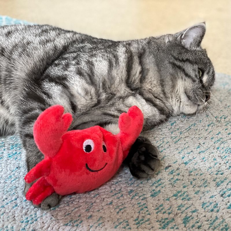 Coussin de jeu Crabe Aumüller à la valériane pour chat