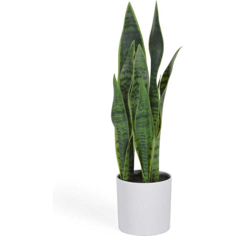 Plante artificielle Sansevieria avec pot blanc 55 cm