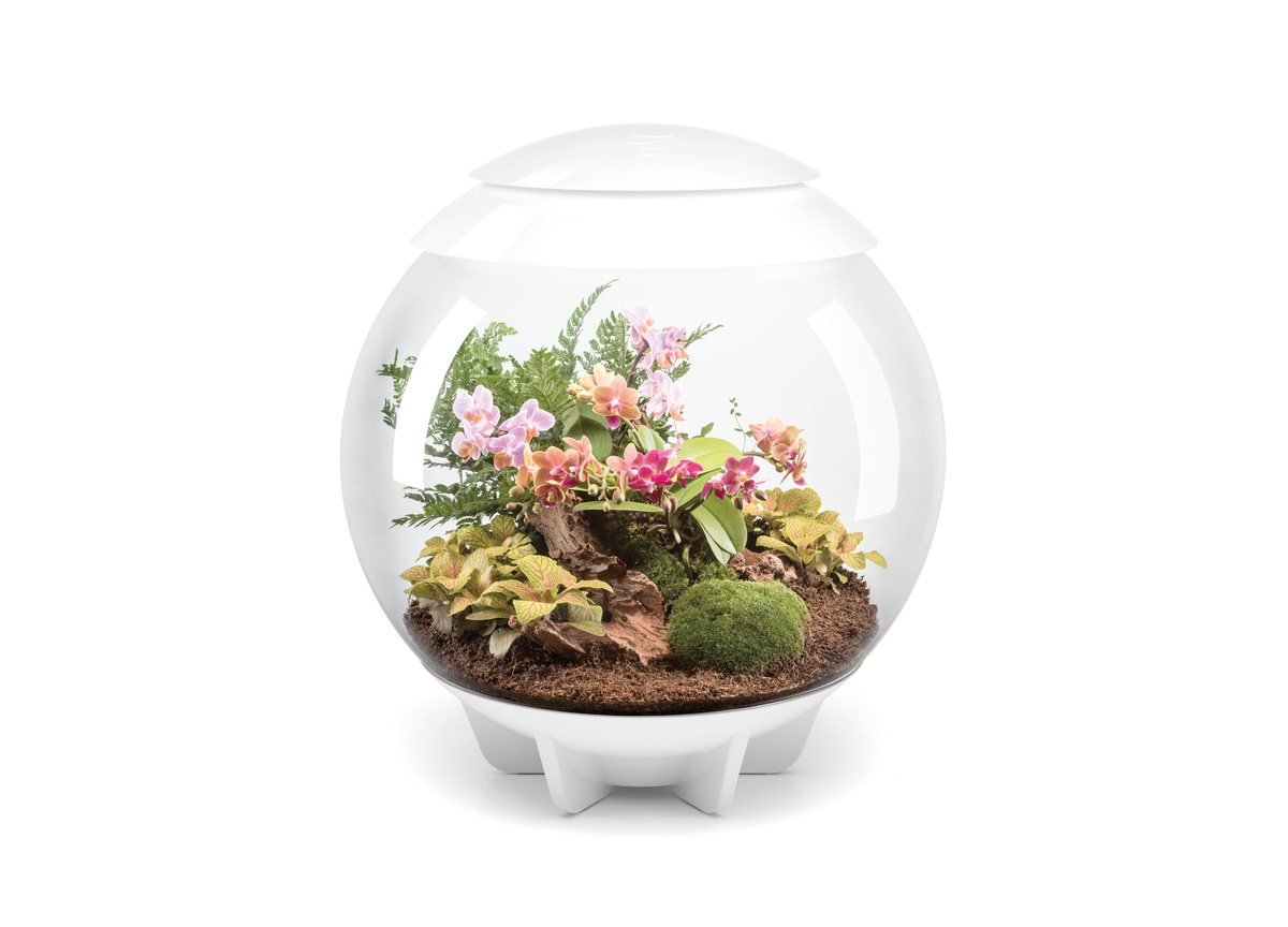 biOrb Air 30 Wit | Plantenterrarium