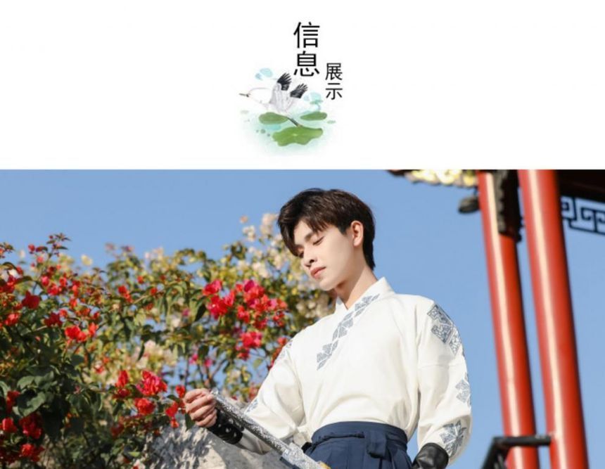 Pinocle - Geborduurd Hanfu-kostuum / Onderarmpaneel / Set