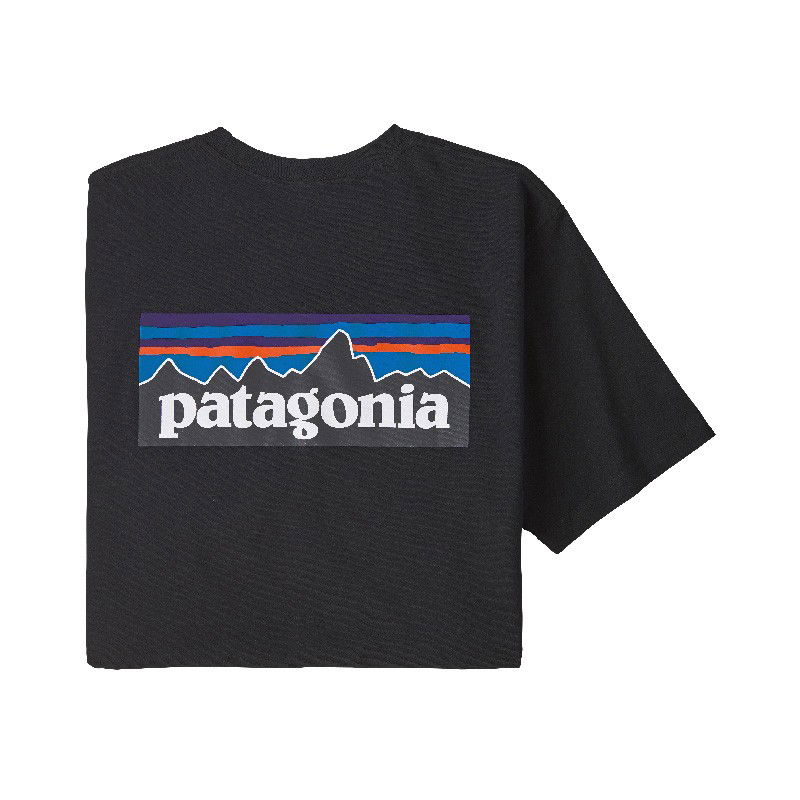 Patagonia P-6 Logo Responsibili-Tee, herre