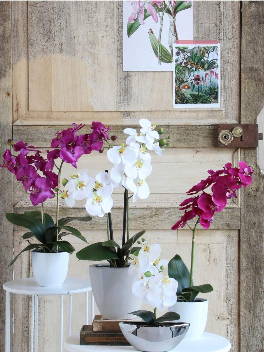 Mica decorations - orchidée artificielle violette en pot h60