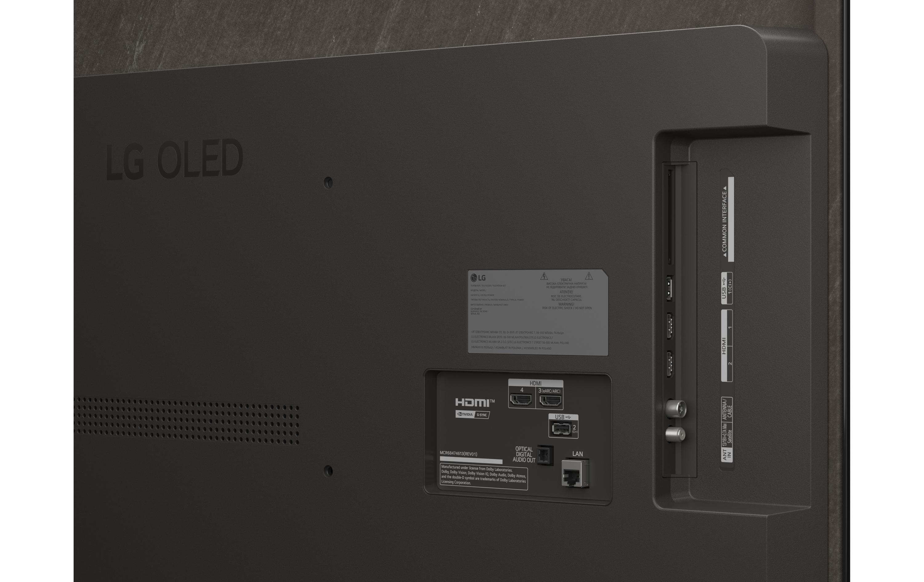 TV OLED48B59LA 48