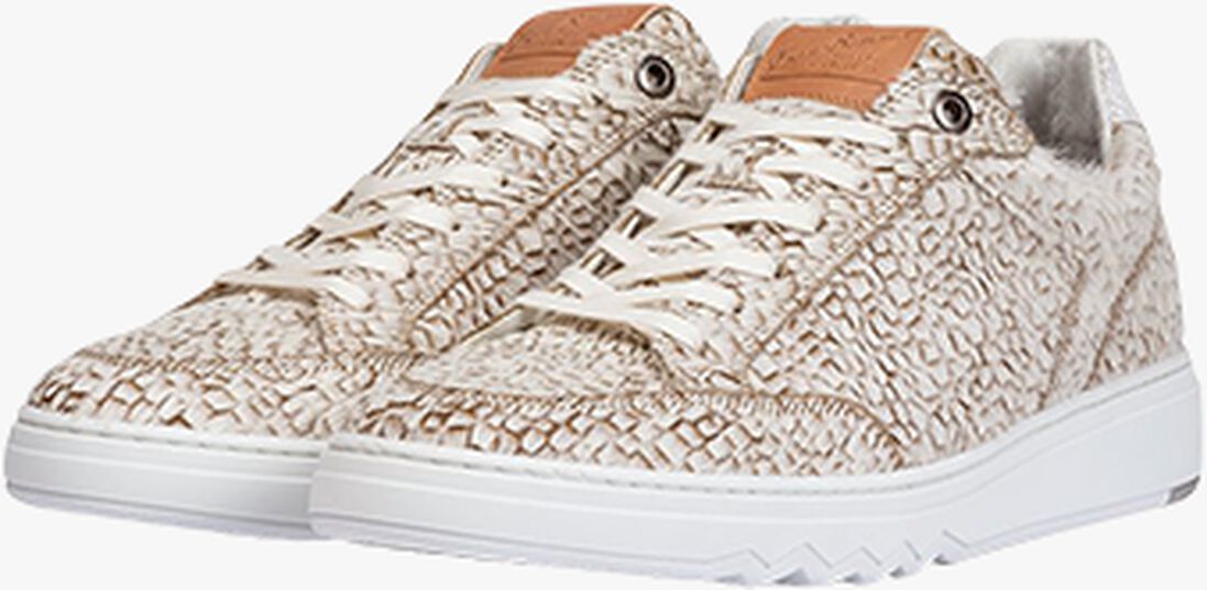 FLORIS VAN BOMMEL taupe floris van bommel lage sneakers sfm-10174