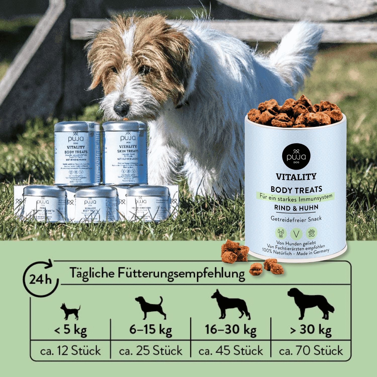 PUJA Beauty–Set für Hunde