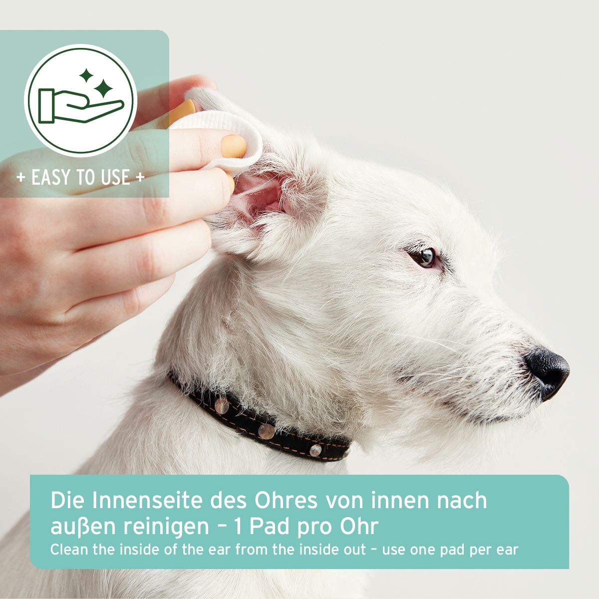 AniForte Ohren-Reinigungspads