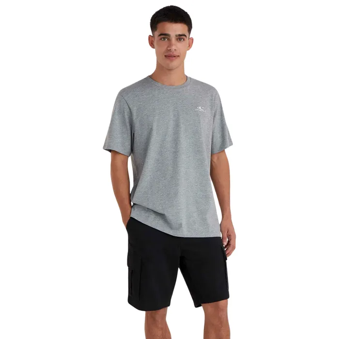 O'Neill Small Logo Shirt Heren