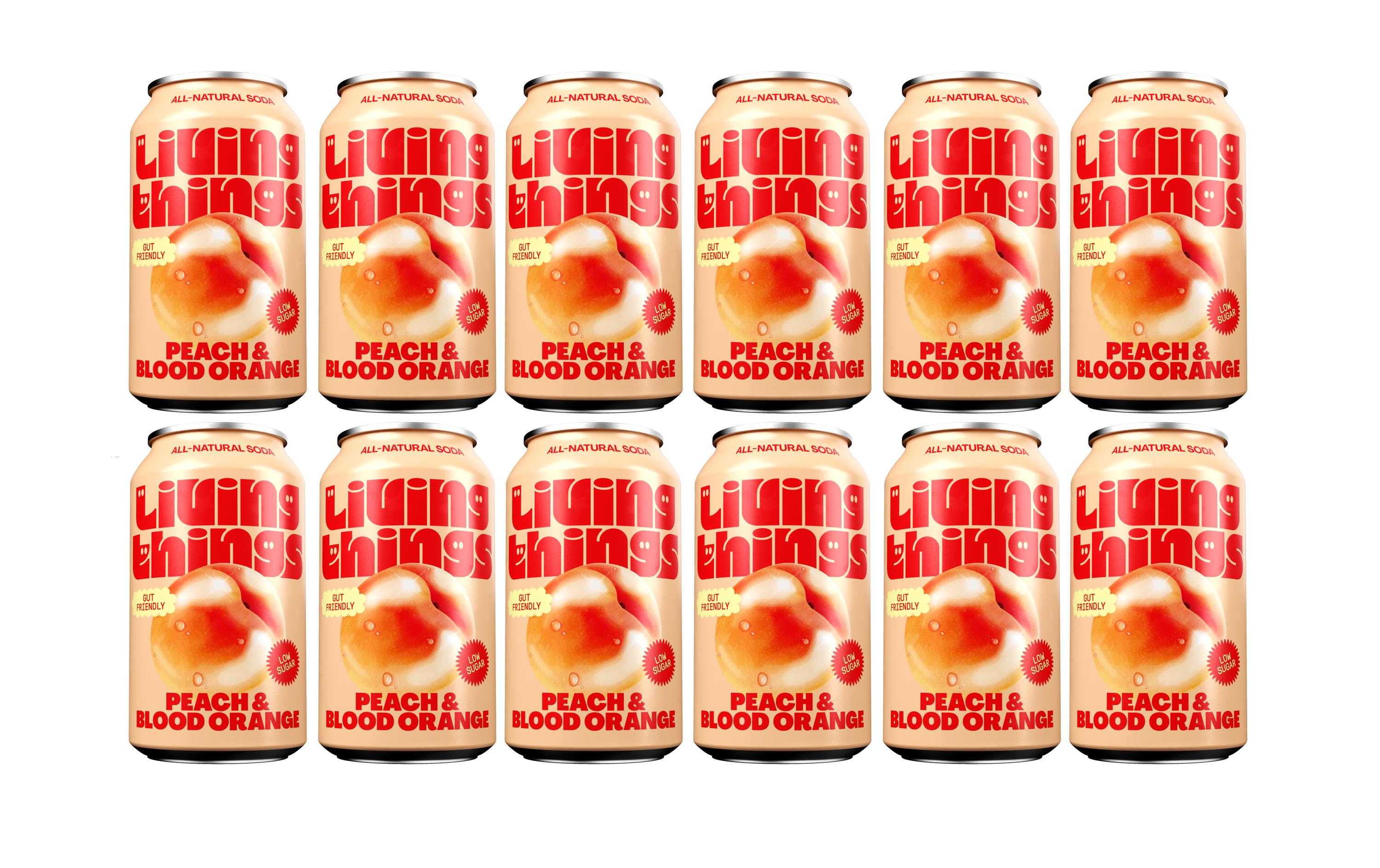 Soft-Drinks Peach & Blood Orange 12 x 0.33 lNatürliche, leicht sprudelnde präbiotische Limonade