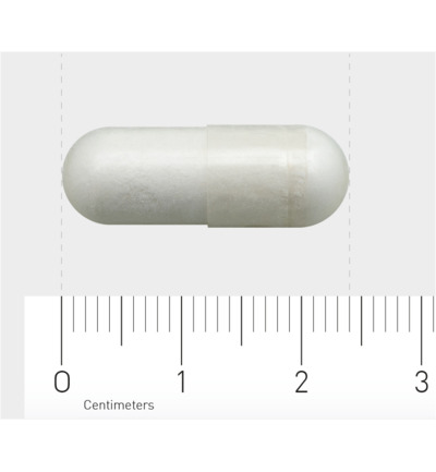 AOV 605 L-Glutamine 500mg (90 vega capsules)