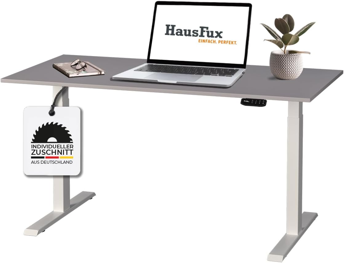 Höhenverstellbarer Schreibtisch auf Maß - inkl. 2,5 cm starker, maßgefertigter Tischplatte - 2- oder 3-stufiges Gestell, OLED-Touchpanel (Platin Grau & Weiß, 2-stufig, 110 x 60 cm)