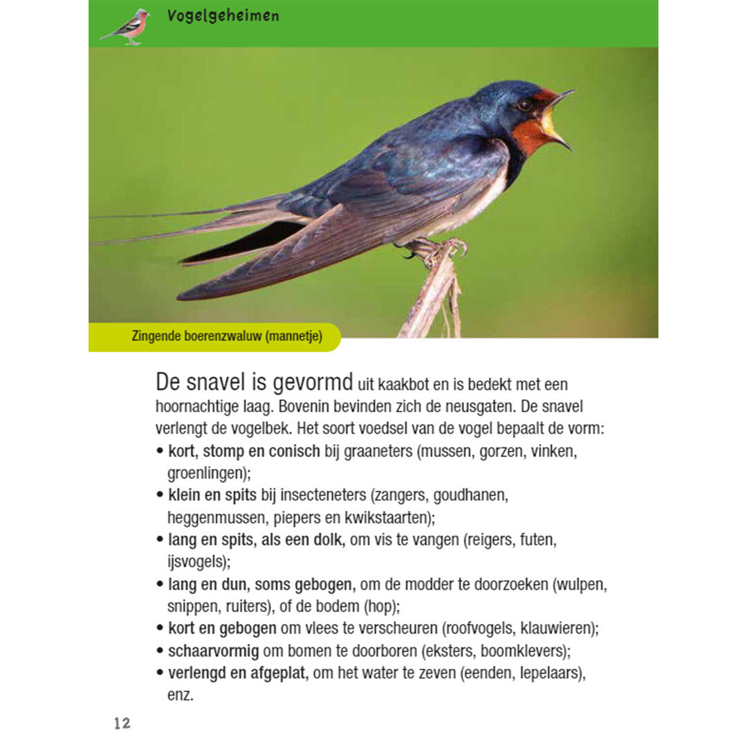 Uitgeverij kosmos vogelgids voor kids