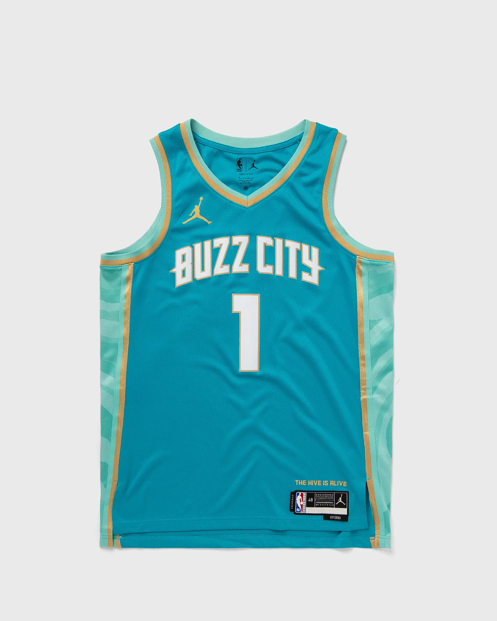 Jordan NBA Swingman Jersey Charlotte Hornets City Edition 2023/24 Lamelo Ball #1
