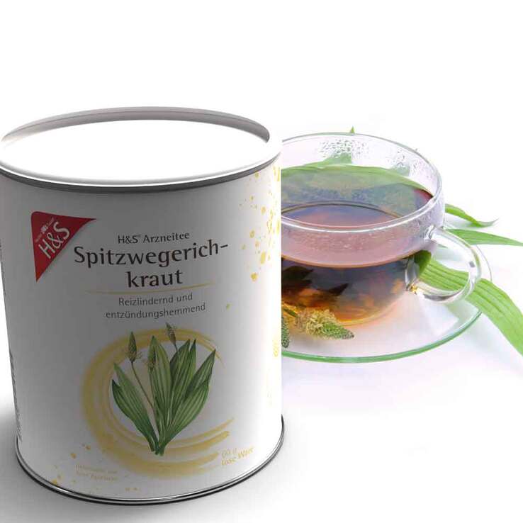 H&S Spitzwegerichkraut loser Tee, 60 g